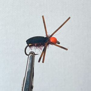 BMX Beetle
