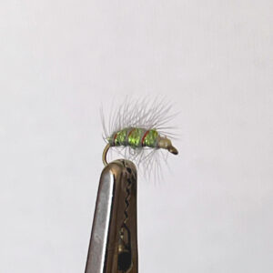 Christmas Caddis Emerger